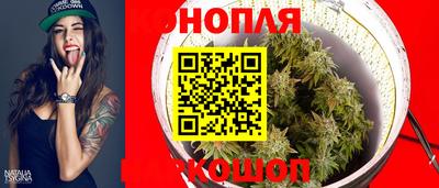 mdpv Ачхой-Мартан