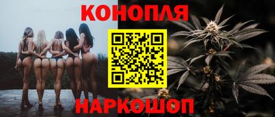 mdpv Ачхой-Мартан
