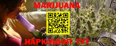 mdpv Ачхой-Мартан