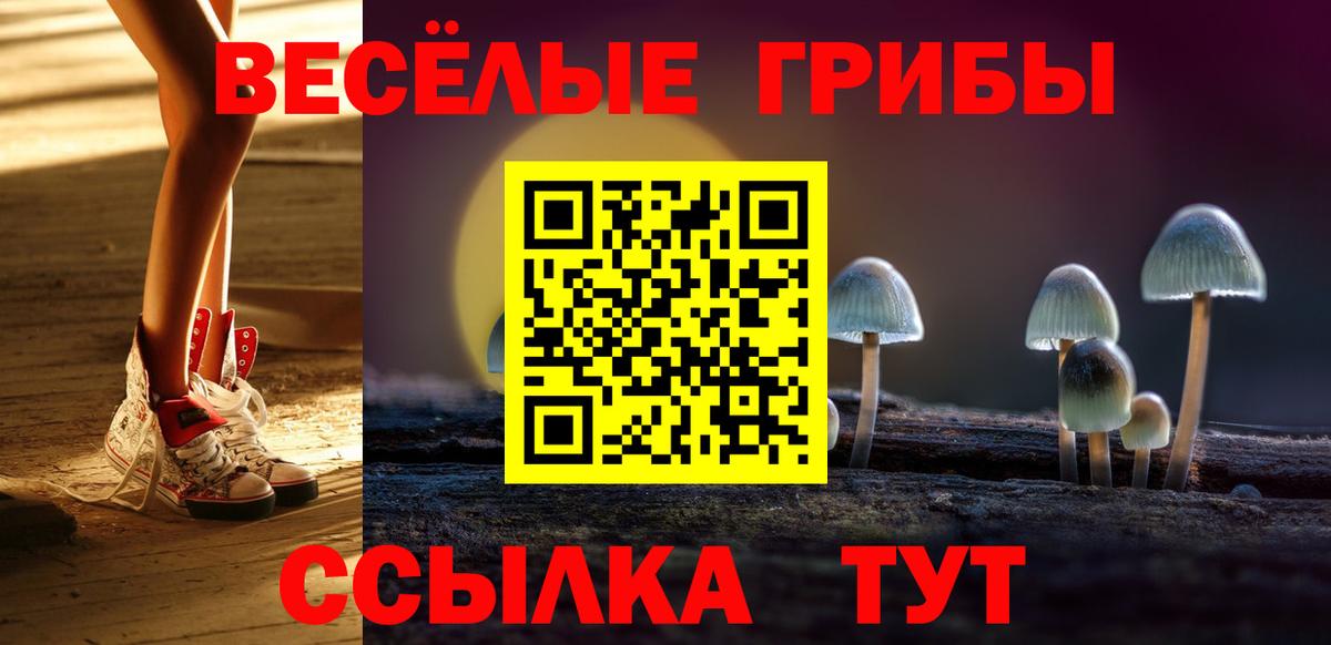 Галлюциногенные грибы Cubensis  Вход с VPN  Десногорск 